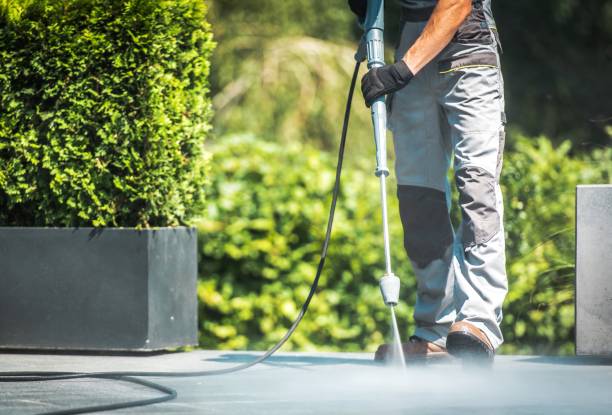 Best Solar Panel Cleaning  in Needville, TX