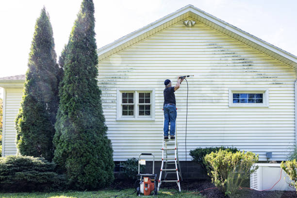 Best Patio and Deck Pressure Washing  in Needville, TX