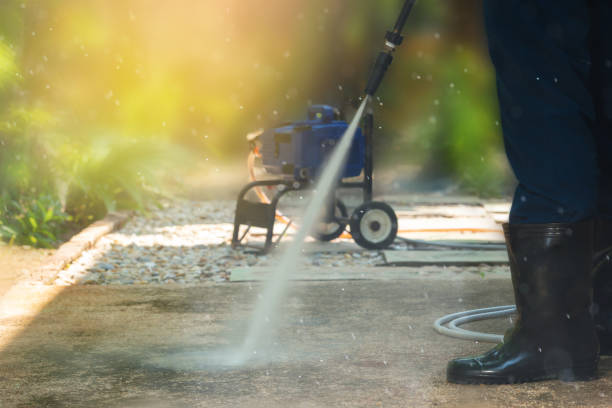 Best Roof Washing  in Needville, TX